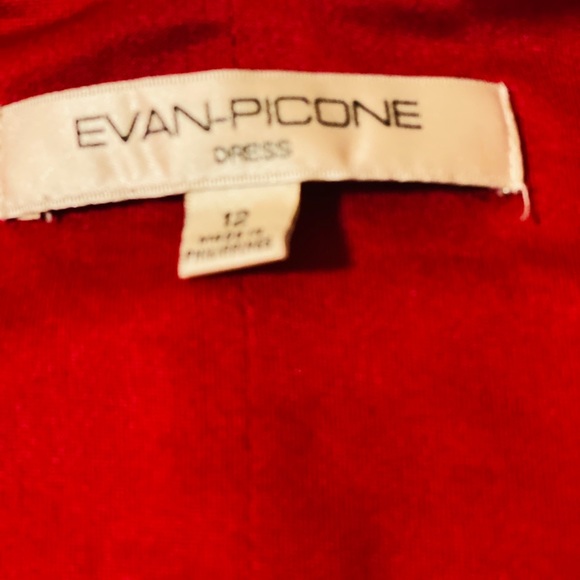 Beautiful Evan  Dress! - Picture 6 of 6